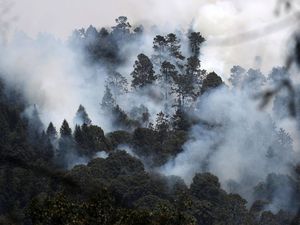 Penampakan Kepulan Asap Akibat Kebakaran Hutan di Meksiko Penampakan Kepulan Asap Akibat Kebakaran Hutan di Meksiko