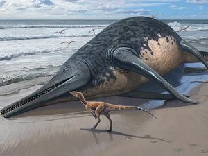 Penampakan Fosil Reptil Laut Raksasa yang Ditemukan Seorang Gadis di Inggris