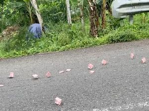 Viral Duit Rp 100 Ribu Berceceran di Jalur Pekalongan-Dieng, Ini Kisahnya
