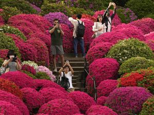 Diserbu Turis, Jepang Bakal Berlakukan Tarif Khusus di Tempat Wisata