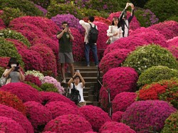 Diserbu Turis, Jepang Bakal Berlakukan Tarif Khusus di Tempat Wisata