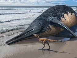 Fosil Reptil Laut Raksasa Sebesar Bus Ditemukan di Pantai Inggris