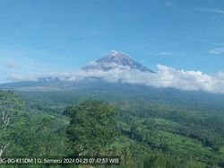 Gunung Semeru Erupsi Dua Kali Pagi Ini, Ketinggian 300-600 Meter dari Puncak