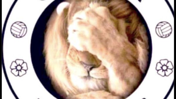 Meme Chelsea Kandas: Si Singa hingga Nicolas Jackson pun Kena Ledek