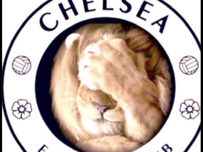 Meme Chelsea Nicolas Jackson