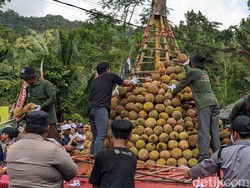 Penghasil Terbanyak se-Indonesia, Ini 5 Jenis Durian di Jawa Timur