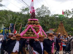 Melihat Kemeriahan Kenduri Tumpeng Durian Raksasa di Trenggalek