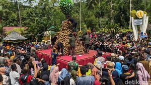 Potret Kemeriahan Kenduri Tumpeng Durian Raksasa di Trenggalek