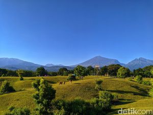 Savana Lendang Dangar, Surga Padang Rumput di Kaki Gunung Rinjani