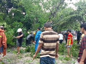 Pohon Tumbang di Selayar Juga Timpa 2 Rumah-Motor Warga