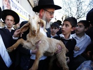 Ekstremis Yahudi Bikin Sayembara Kurban Paskah di Masjid Al Aqsa Ekstremis Yahudi Bikin Sayembara Kurban Paskah di Masjid Al Aqsa