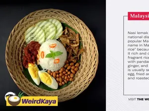 Diledek Netizen, Badan Intelijen Amerika Sebut Nasi Lemak Fat Rice Diledek Netizen, Badan Intelijen Amerika Sebut Nasi Lemak Fat Rice