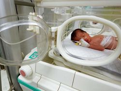 Momen Kelahiran Bayi Palestina yang Ibunya Tewas Akibat Serangan Israel