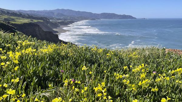 Lanskap Musim Semi yang Memukau di California