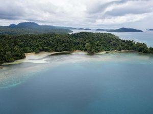 Parah! KPK Sebut Pungli ke Wisatawan Raja Ampat Tembus Rp 18,2 M per Tahun