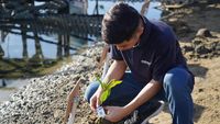 Peringati Hari Bumi, Indosat Tanam Mangrove di Pesisir Aceh