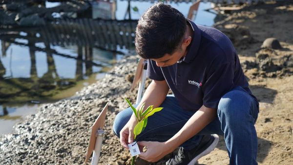 Peringati Hari Bumi, Indosat Tanam Mangrove di Pesisir Aceh