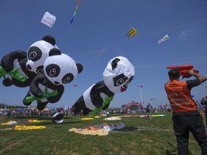 Warna-warni Festival Layangan Hiasi Langit China