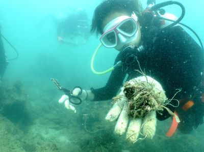 Aksi Penyelam Thailand Bersihkan Sampah Plastik di Perairan Phuket