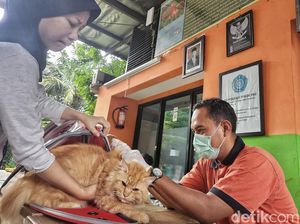 10 Penyakit yang Ditularkan dari Hewan, Ada Antraks!