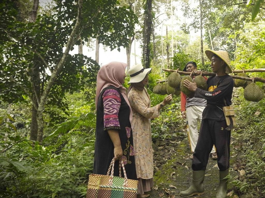 Wuih! Desa di Trenggalek Punya Hutan Durian Terbesar Se-Asia Tenggara