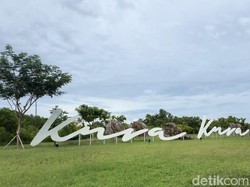 Pembukaan WFF ke-10 di Kura Kura Bali, Ada Upacara Tumpek Uye dan Segara Kerthi