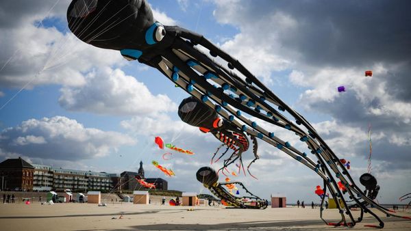 Layang-layang Gurita hingga Paus Raksasa Beterbangan di Prancis