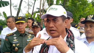 Mentan Mau Genjot Produksi Padi di Merauke, Bisa Hasilkan 7 Ton/Ha