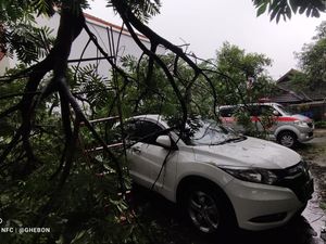 Hujan Disertai Angin di Sleman, Pohon Tumbang Timpa Mobil