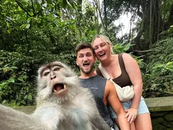 Potret Kocak Monyet Foto Selfie Bareng Bule di Bali, So Cute!