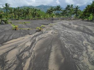 Puluhan Hektare Lahan Pertanian Terdampak Banjir Lahar Gunung Semeru Puluhan Hektare Lahan Pertanian Terdampak Banjir Lahar Gunung Semeru