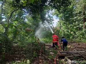 Pemadam Kebakaran Diterjunkan Basmi Serangan Ulat Bulu di Ponorogo