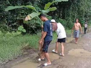 Warga Tanam Pohon Pisang-Tebar Ikan Lele di Jalan Rusak Lebak