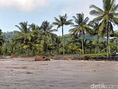 Tanggul Jebol Puluhan Hektar Sawah Terendam Banjir Lahar Dingin Semeru