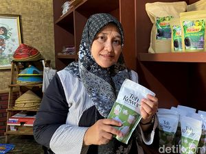 Tanaman Liar Jadi Potensi Desa, Teh Kewer Garut Rambah Pasar Asia