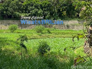 Garut Punya Desa BRILiaN: Saung Ciburial, Dulu Miskin, Kini Mendunia! Garut Punya Desa BRILiaN: Saung Ciburial, Dulu Miskin, Kini Mendunia!