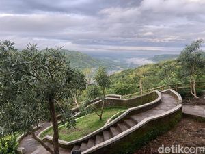 Harapan Provinsi DIY buat Menteri Kehutanan dan Menteri Lingkungan Hidup