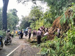 Jalur Tasik-Garut Tersendat gegara Longsor