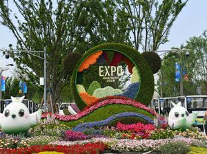 Melihat Pameran Hortikultura Internasional 2024 di Chengdu