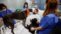 Rumah Sakit di Spanyol Rekrut Anjing untuk Semangati Pasien, Ini Potretnya