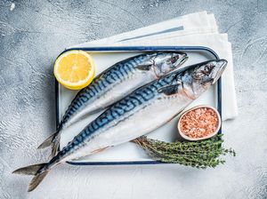 6 Jenis Ikan Kaya Protein dan Rendah Lemah, Cocok untuk Diet 6 Jenis Ikan Kaya Protein dan Rendah Lemah, Cocok untuk Diet