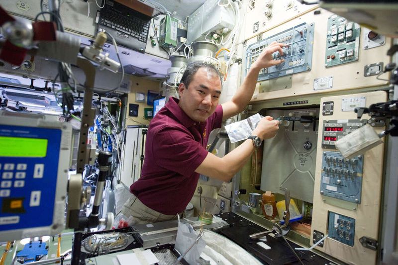5 Fakta Makanan di Luar Angkasa yang Disantap Astronot