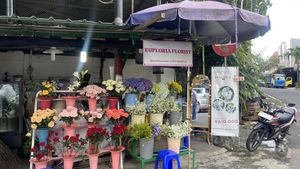 Berburu Bunga di Kota Baru Jogja