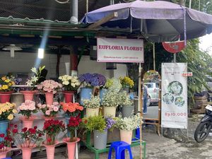 Berburu Bunga di Kota Baru Jogja