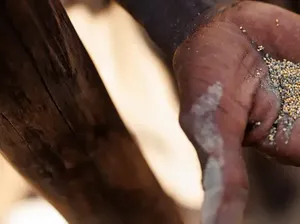 Hampir 282 Juta Orang Alami Kelaparan Akut pada 2023