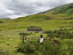 Mobil Masuk Jurang di Kawasan Bromo, 4 Orang Tewas