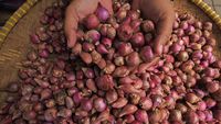 Duh! Harga Bawang Merah Bikin Nangis