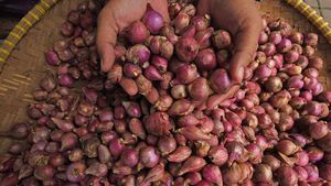 Duh! Harga Bawang Merah Bikin Nangis