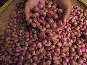 Daftar Harga Pangan Hari Ini: Bawang Merah-Cabai Rawit Naik Daftar Harga Pangan Hari Ini: Bawang Merah-Cabai Rawit Naik