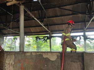 Pabrik Beras di Indramayu Hangus Terbakar, Kerugian Capai Rp 300 Juta